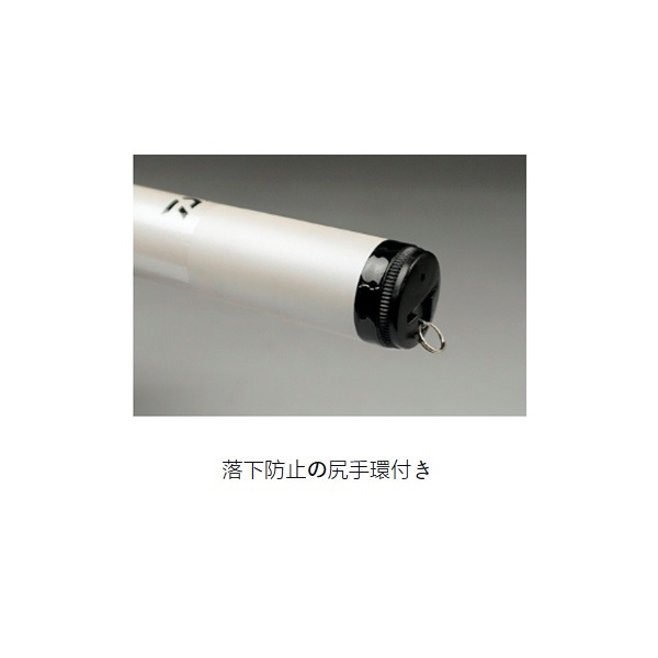 クリスティアワカサギ21 | イシグロ公式オンラインショップ