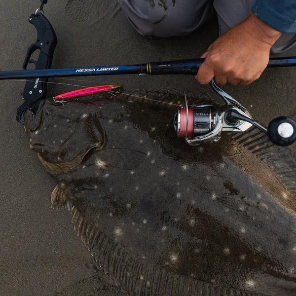 23ネッサリミテッド1010M + 23 ネッサリミテッド | イシグロ公式オンラインショップ