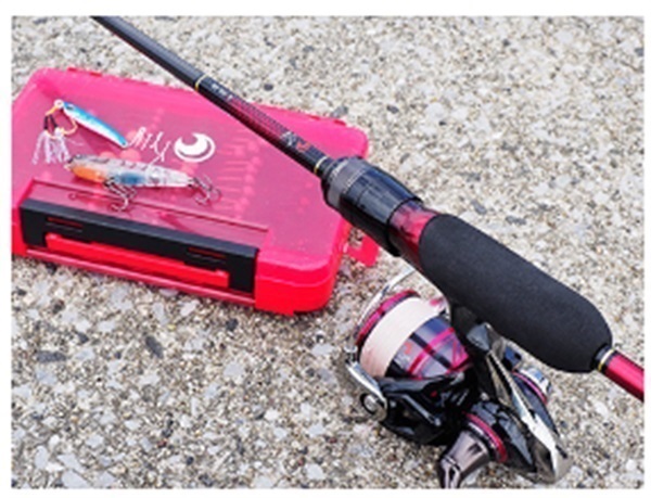 ダイワ21月下美人MX78MLーT 新品未使用 ダイワ(Daiwa) 月下美人 MX 78ML-T・N(2ピース) 05802612