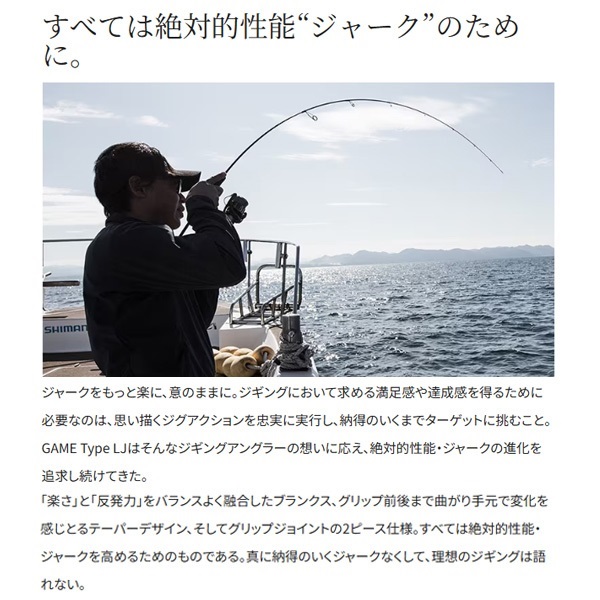 21 ゲーム タイプLJ | イシグロ公式オンラインショップ