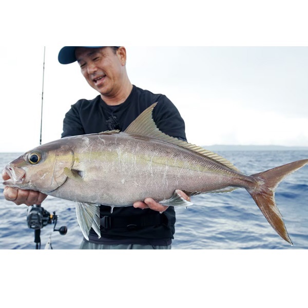 25 オシア EJ | イシグロ公式オンラインショップ