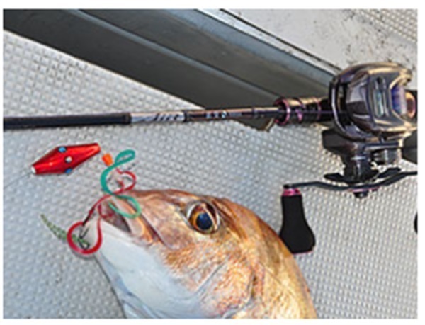 21 紅牙 AIR TYPE－N | イシグロ公式オンラインショップ