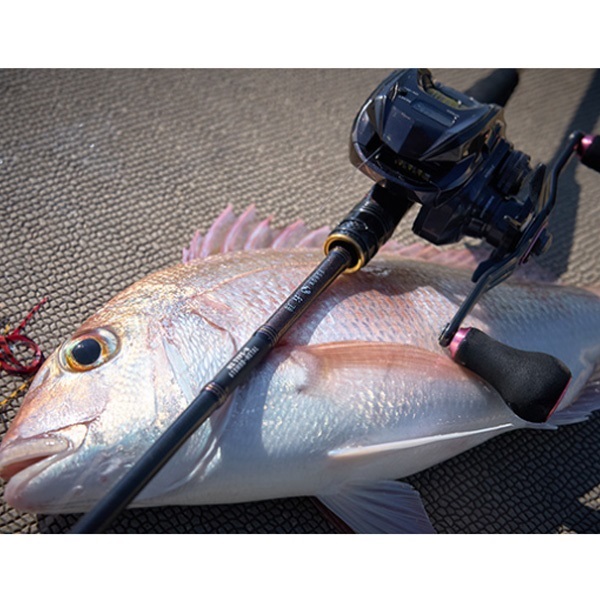 ダイワ(DAIWA) 紅牙MX C65MS TG・W 23 紅牙 MX | イシグロ公式