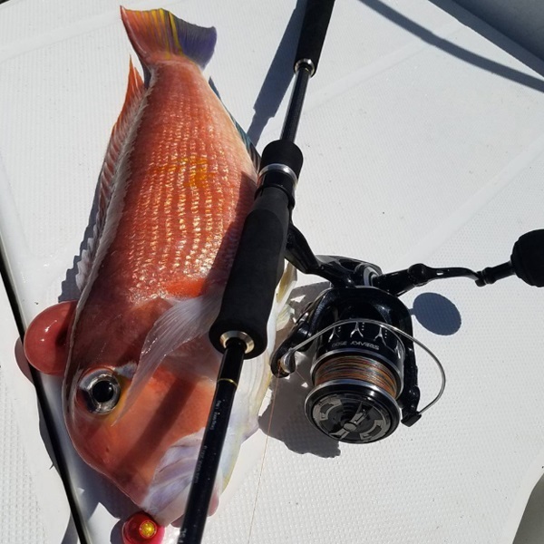 TAIGAME SSDC69UL／FSL | イシグロ公式オンラインショップ