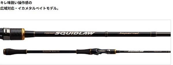 25インペリアル ソードティップマスター（イカメタル・オモリグモデル