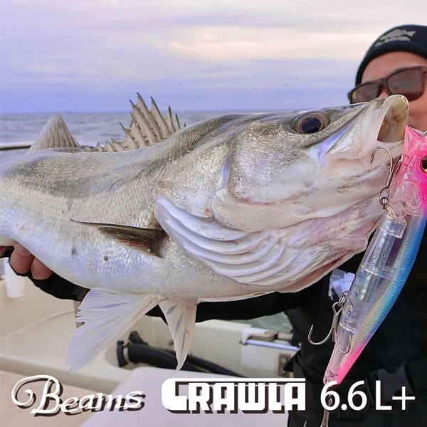 Beams CRAWLA | イシグロ公式オンラインショップ
