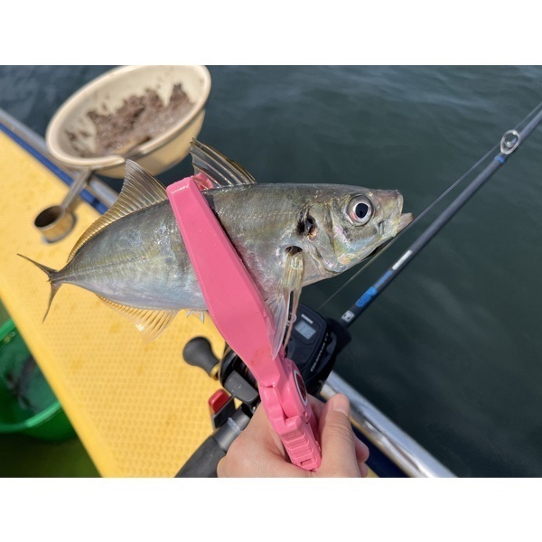 GSW（GO SEAWARD） | イシグロ公式オンラインショップ