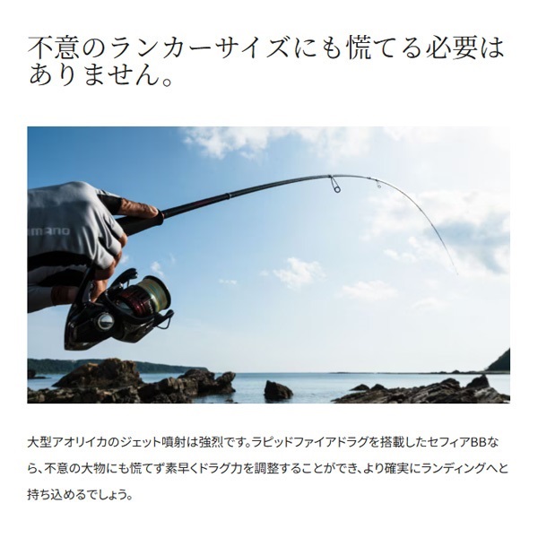 22セフィアBB | イシグロ公式オンラインショップ