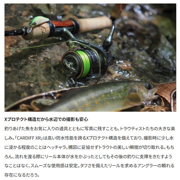23カーディフXR | イシグロ公式オンラインショップ