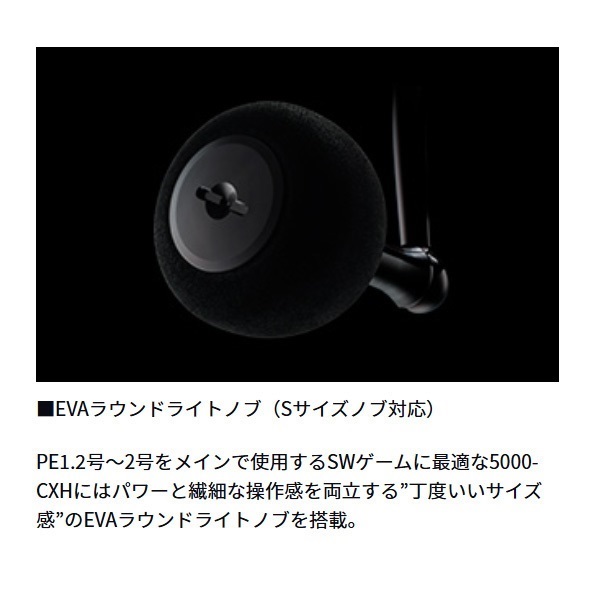 Hitoshi　カルディアSW カルディア SW(リール)｜DAIWA