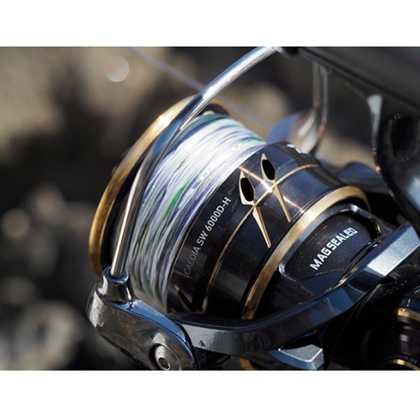 CALDIA SW 6000D-Hマグシールド搭載 ダイワ新製品2022＊リール