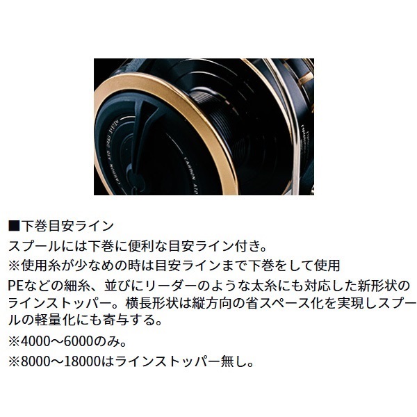 未使用　ダイワ　BG SW 6000D-Ｐ　タコ釣り 未使用 ダイワ BG SW 6000D-P タコ釣り 【公式通販】
