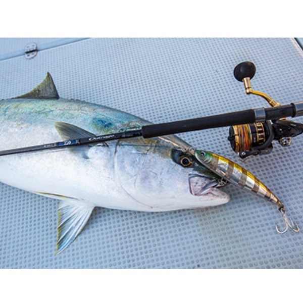 BG SW | イシグロ公式オンラインショップ