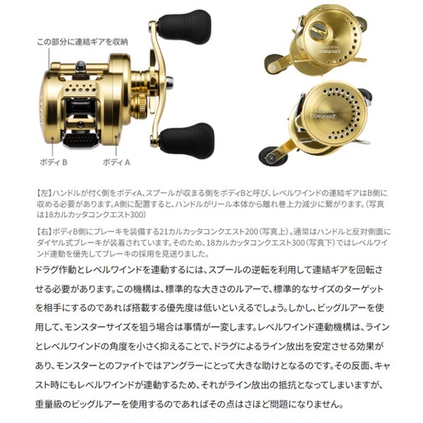 23カルカッタコンクエストMD | イシグロ公式オンラインショップ