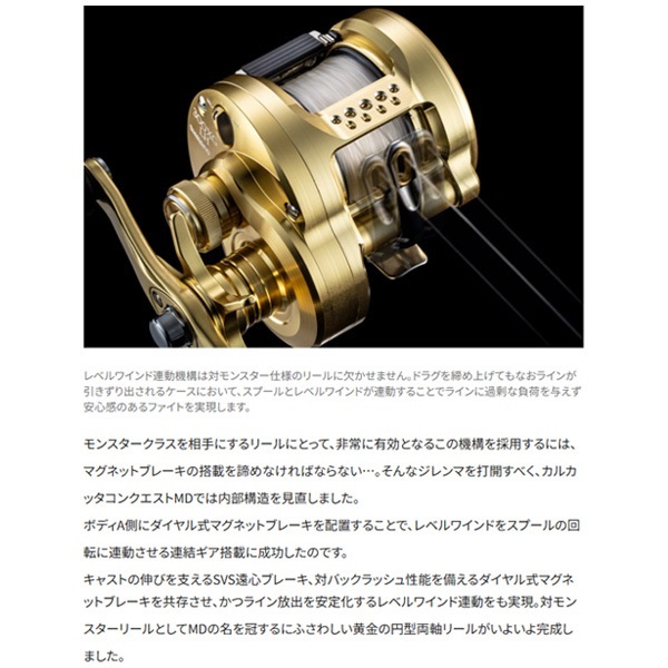23カルカッタコンクエストMD | イシグロ公式オンラインショップ