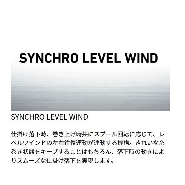 ソルティガ IC | イシグロ公式オンラインショップ