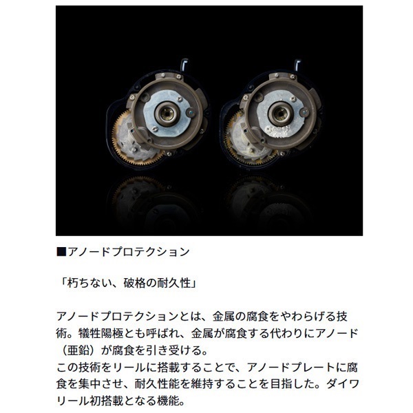 ソルティガ 15 | イシグロ公式オンラインショップ