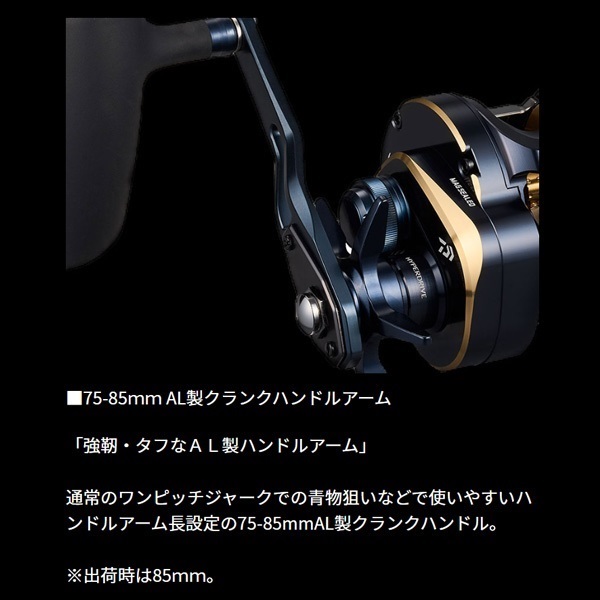 25ソルティガ | イシグロ公式オンラインショップ