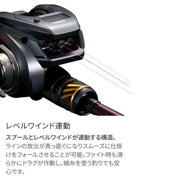 25 エンゲツ CT | イシグロ公式オンラインショップ