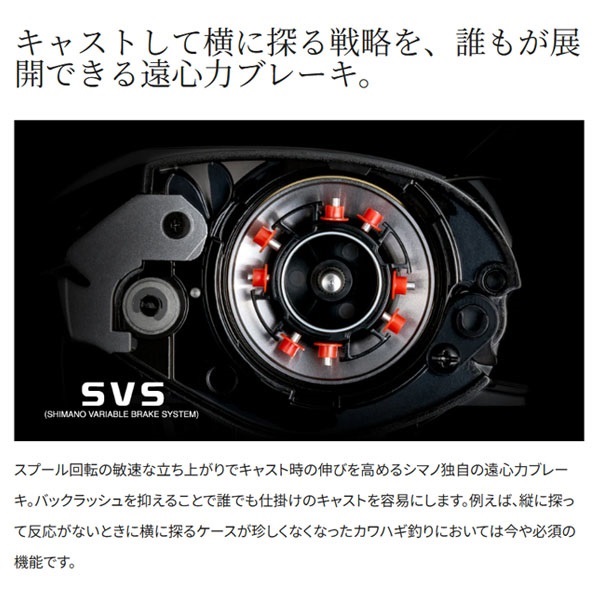 25 スティーレ | イシグロ公式オンラインショップ