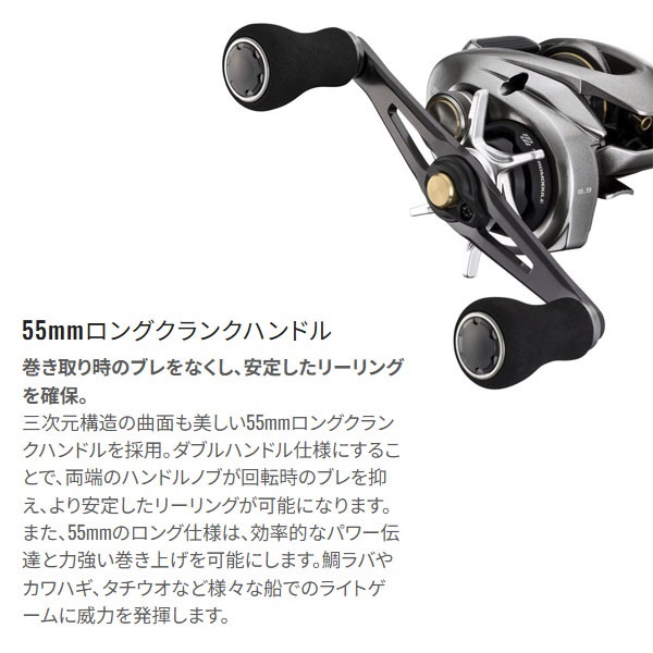 25 スティーレ | イシグロ公式オンラインショップ