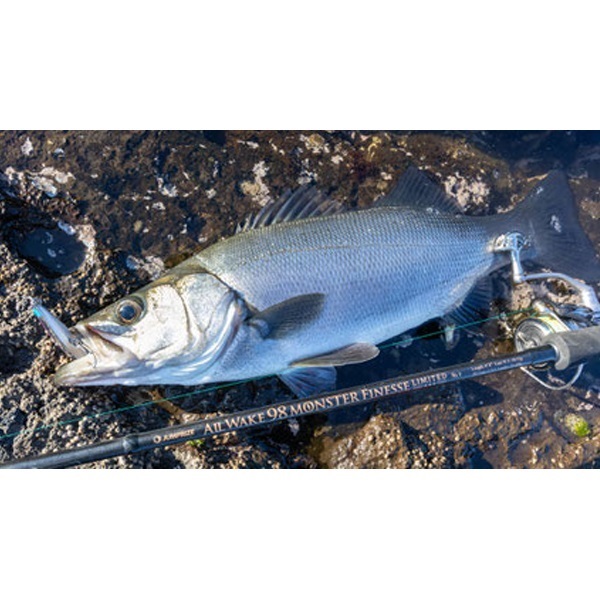 ぶっ飛び君 95S | イシグロ公式オンラインショップ