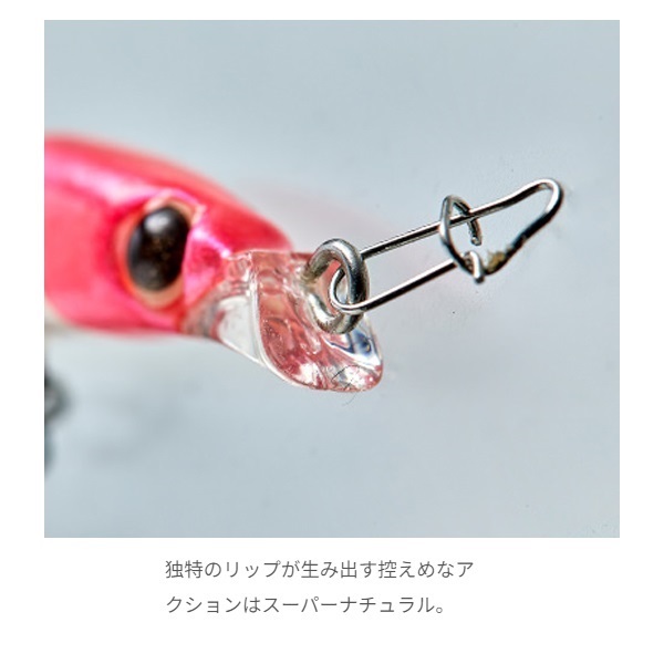 シャローマジック50 | イシグロ公式オンラインショップ