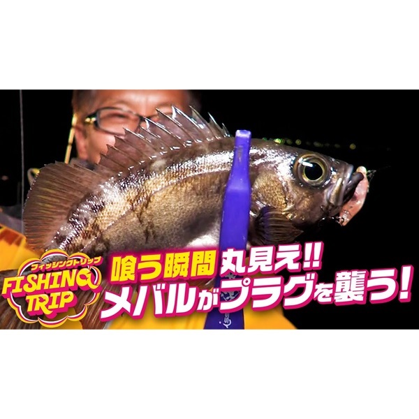 海太郎 ネコメタル 5g | イシグロ公式オンラインショップ