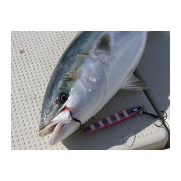 鏡牙ジグ セミロング 80g | イシグロ公式オンラインショップ