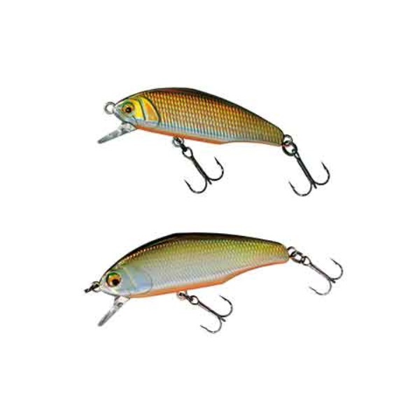 D－インサイト 44 | イシグロ公式オンラインショップ