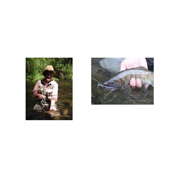 D－コンタクト 63 | イシグロ公式オンラインショップ