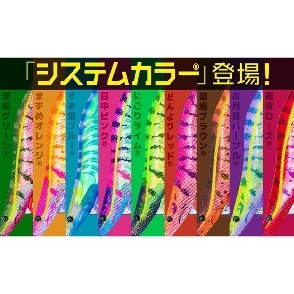 Ebi Q 3.5号 | イシグロ公式オンラインショップ