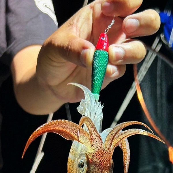 TG服部 25号 | イシグロ公式オンラインショップ