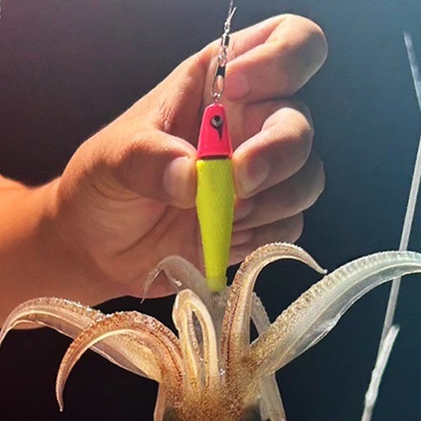 TG服部 25号 | イシグロ公式オンラインショップ