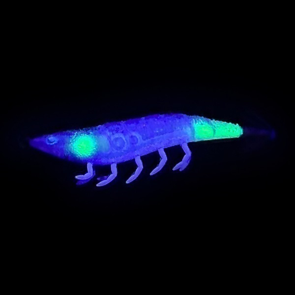 海老助68mm【Tsulinoオリジナルカラー】 | イシグロ公式オンラインショップ