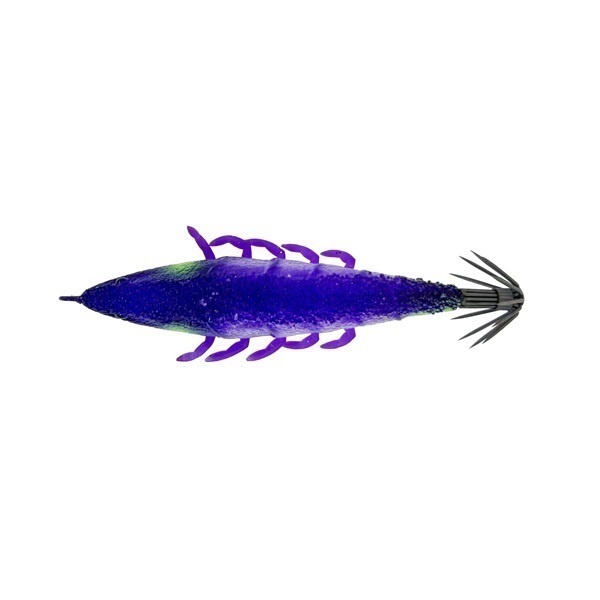 世界のとれたて海水魚(通信販売)の日海-web.com<日海センター