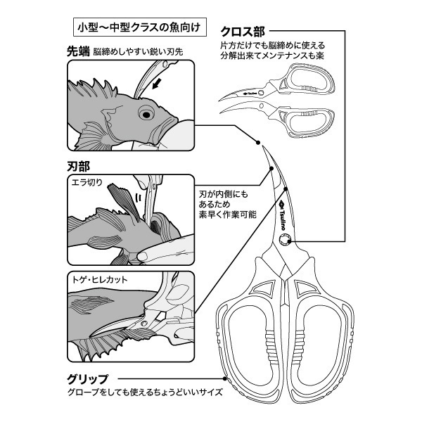 しじみ、魚取り用具 魚をおいしく安全に持ち帰る活き締めハサミ【脳締め/エラ切り/トゲ