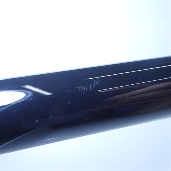 ミナミクロダイ　剥製 ミナミクロダイ 剥製 激レア・適品】チヌ（黒鯛）剥製 激レア