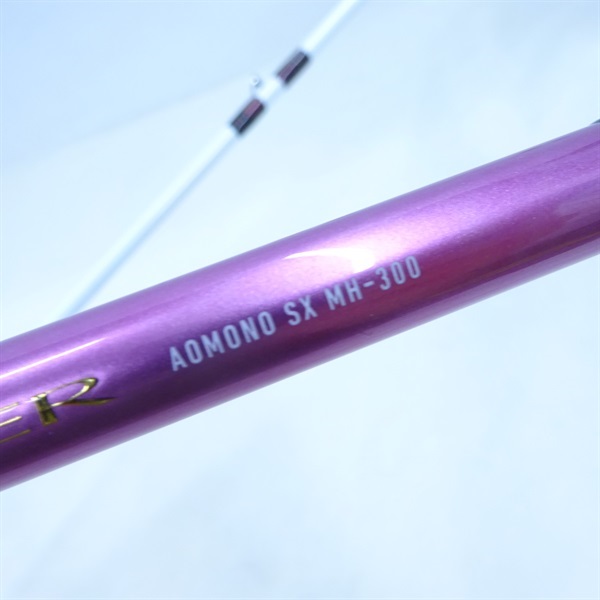 21リーオマスター青物SX MH－300・N | イシグロ公式