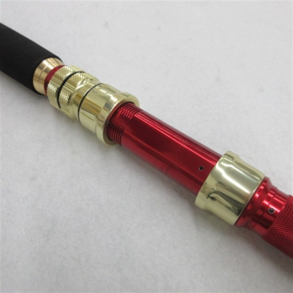 ゴウインブルGS DAIWA（釣り） 船竿 ダイワ 19 ゴウインブル GS HH-195・Y