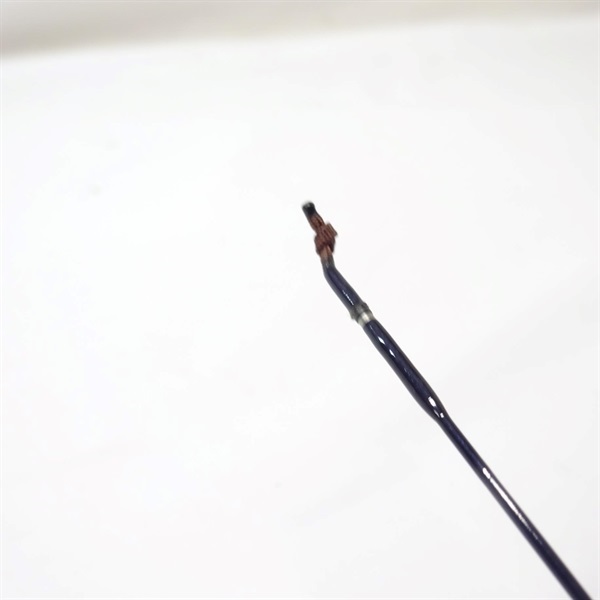 景仙桔梗9尺 | イシグロ公式オンラインショップ