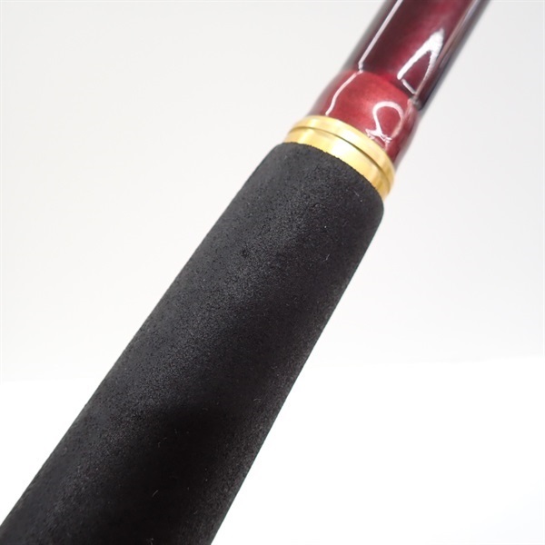 Amazon.com : DAIWA 103MH Shore Jigging Rod OVER THERE