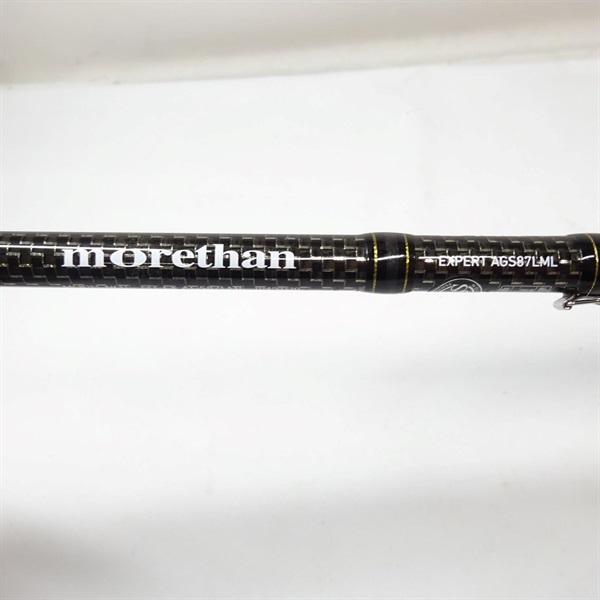 モアザンエキスパートAGSMT EX AGS87LML | イシグロ