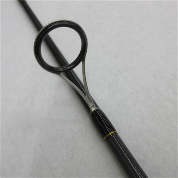 PE エボリューション PF-962ML シーバスロッド 9'6\" シーバス セット 9.6フィート スピニングリール付き 釣り竿