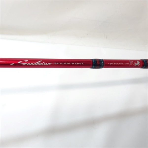 ダイワ(Daiwa) 月下美人・ソルティスト エクストリーム STX-RF