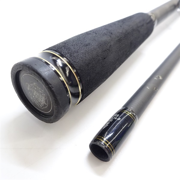 ソルティスト81 RUNGAN Amazon | ダイワ(DAIWA) ベイトリール 23SALTIST BF TW 8.1L PE