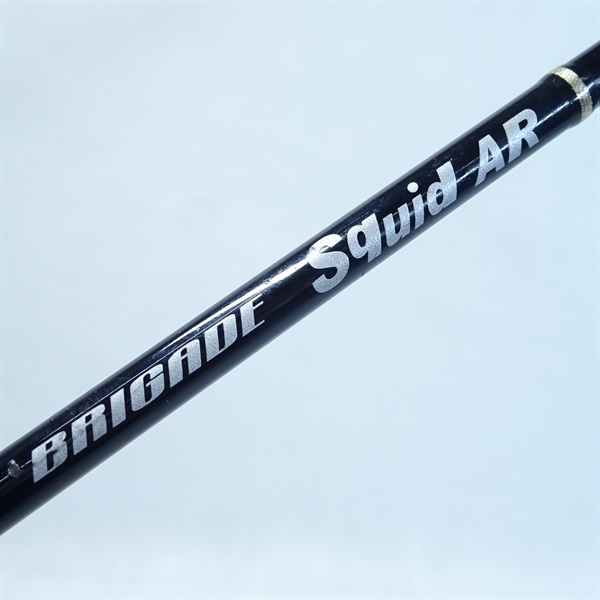 フィッシング 天龍 BRIGADE Squid AR 70B-FLL