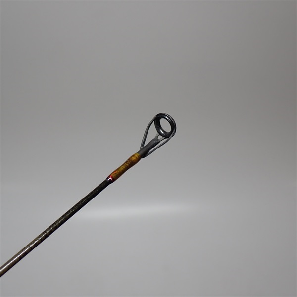 トラウトプログラム テーパートライアル61タイムトライアル