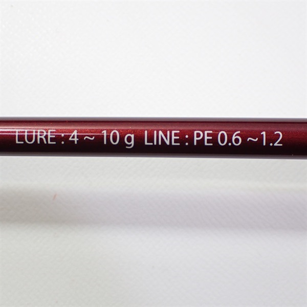 フィッシュマン　ビームスローワー6.2L フィッシュマン ビームス ローワー6.2L（Beams LOWER 6.2L