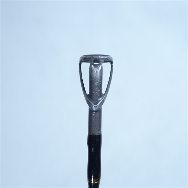 ナマゾン　C66 M/G テイルウォーク(Tailwalk) ナマゾン(Namazon) C66M/G ○廃番